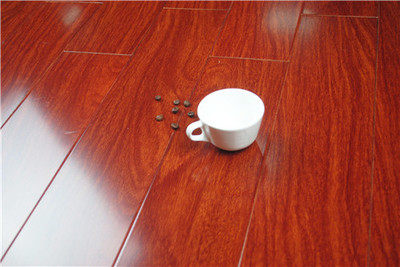 木地板與地板磚 如何選擇最適合家庭鋪設(shè)的材料